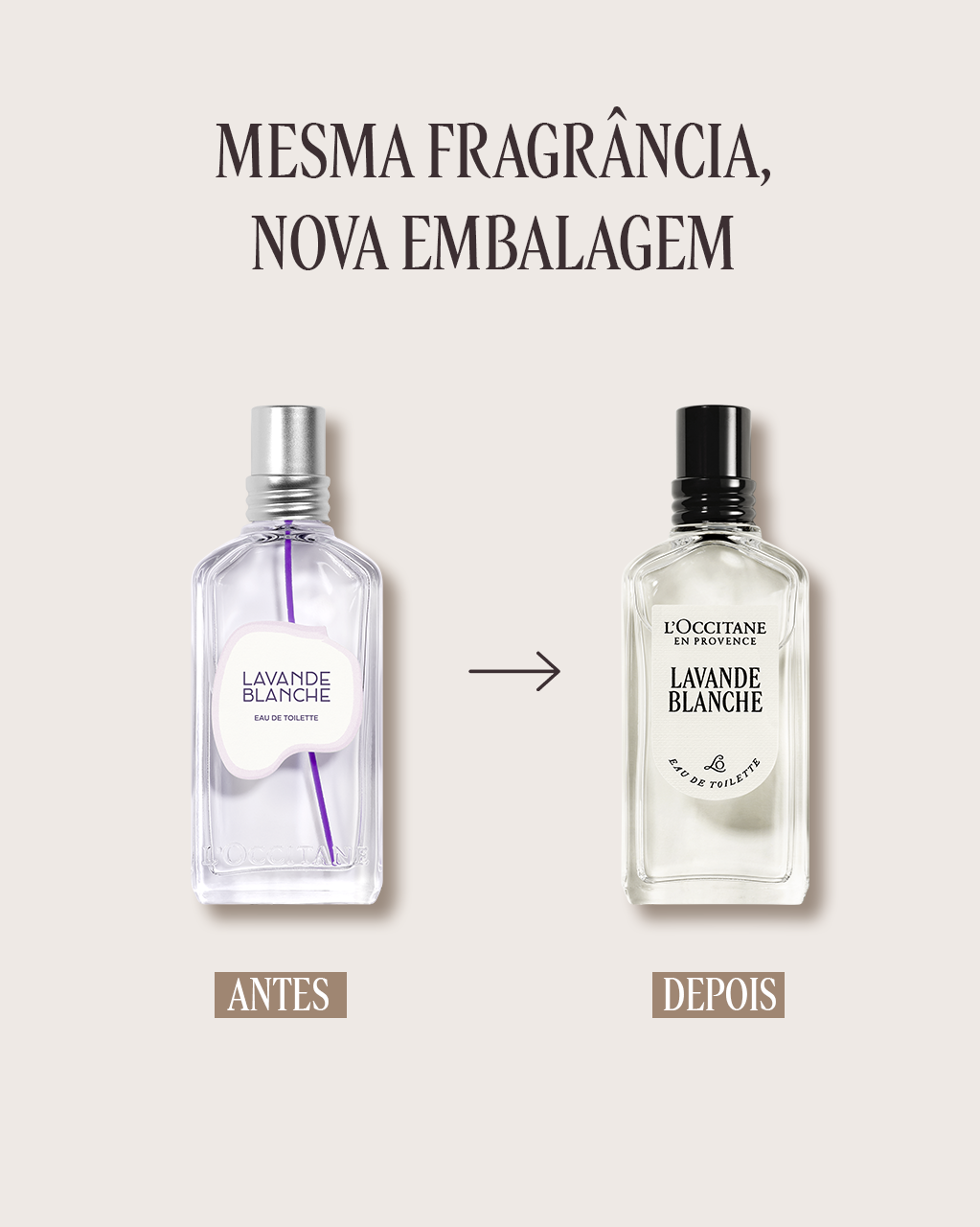 Eau de Toilette Lavande Blanche 50mL | L'Occitane en Provence